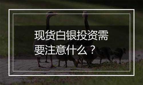 现货白银投资需要注意什么？