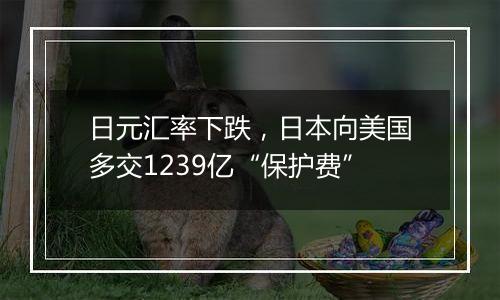 日元汇率下跌，日本向美国多交1239亿“保护费”