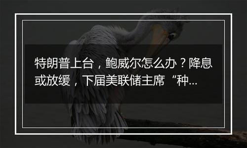 特朗普上台，鲍威尔怎么办？降息或放缓，下届美联储主席“种子选手”呼吁领导层中立