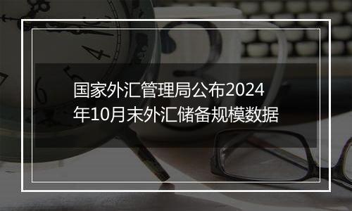 国家外汇管理局公布2024年10月末外汇储备规模数据