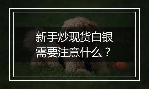 新手炒现货白银需要注意什么？