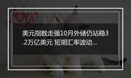 美元指数走强10月外储仍站稳3.2万亿美元 短期汇率波动无须动用外储干预