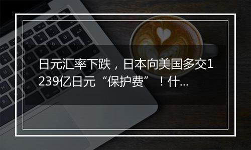 日元汇率下跌，日本向美国多交1239亿日元“保护费”！什么情况→