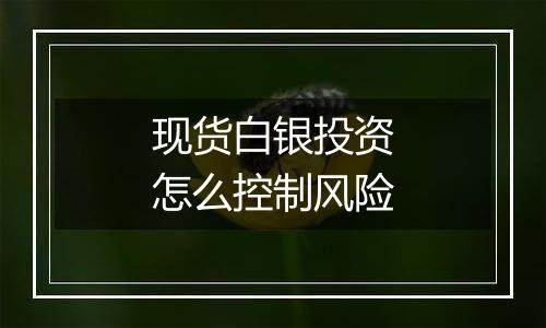 现货白银投资怎么控制风险