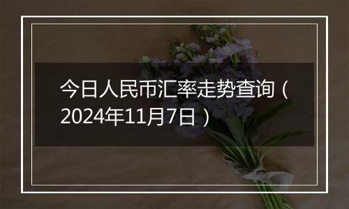 今日人民币汇率走势查询（2024年11月7日）