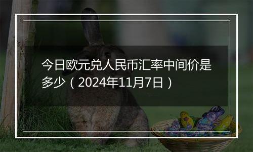 今日欧元兑人民币汇率中间价是多少（2024年11月7日）