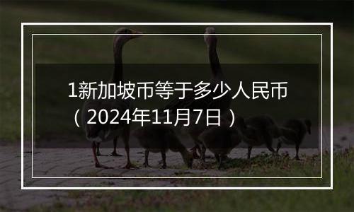 1新加坡币等于多少人民币（2024年11月7日）