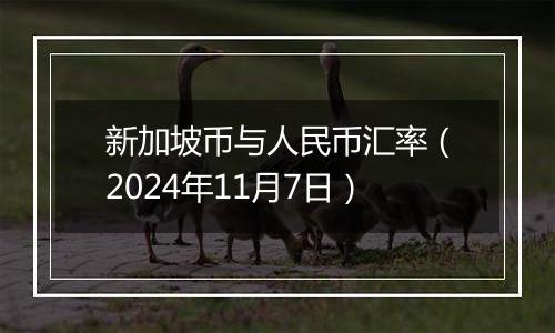 新加坡币与人民币汇率（2024年11月7日）