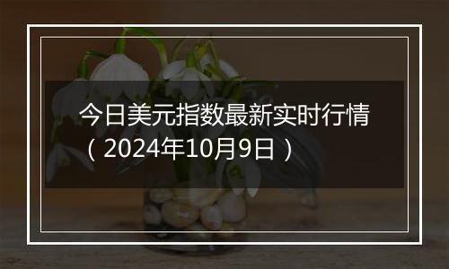 今日美元指数最新实时行情（2024年10月9日）