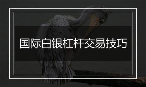 国际白银杠杆交易技巧