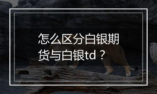 怎么区分白银期货与白银td？