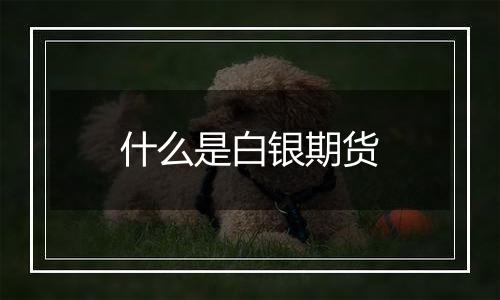 什么是白银期货