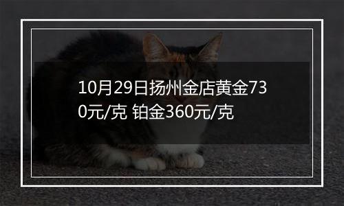 10月29日扬州金店黄金730元/克 铂金360元/克