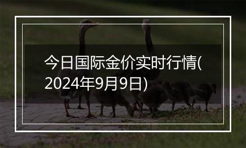 今日国际金价实时行情(2024年9月9日)