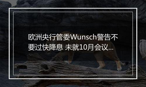 欧洲央行管委Wunsch警告不要过快降息 未就10月会议拿定主意