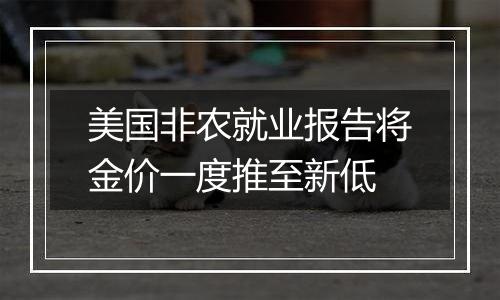 美国非农就业报告将金价一度推至新低