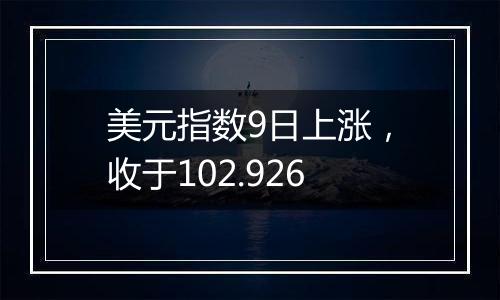 美元指数9日上涨，收于102.926