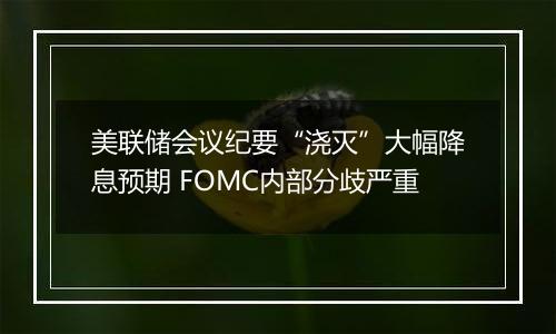 美联储会议纪要“浇灭”大幅降息预期 FOMC内部分歧严重