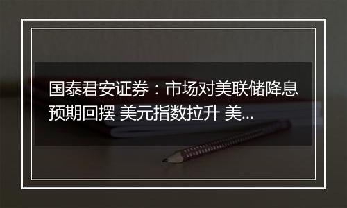 国泰君安证券：市场对美联储降息预期回摆 美元指数拉升 美股三大指数横盘震荡