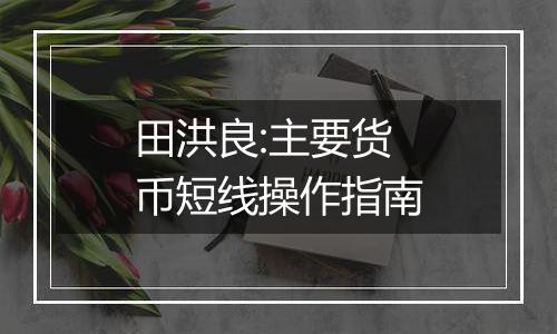 田洪良:主要货币短线操作指南