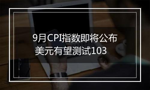 9月CPI指数即将公布 美元有望测试103