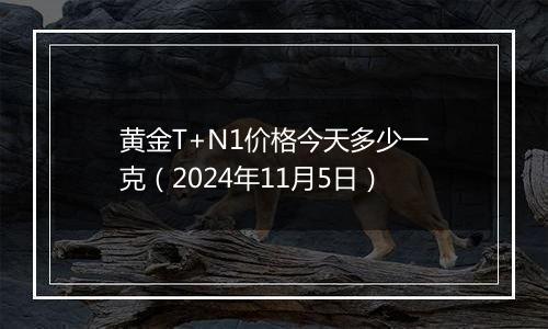 黄金T+N1价格今天多少一克（2024年11月5日）