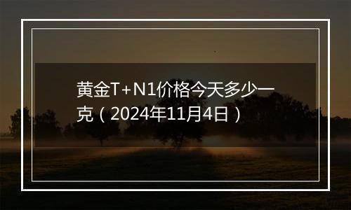 黄金T+N1价格今天多少一克（2024年11月4日）