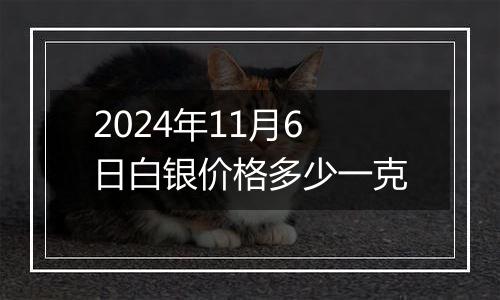 2024年11月6日白银价格多少一克