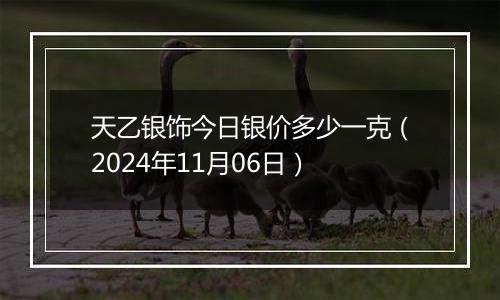 天乙银饰今日银价多少一克（2024年11月06日）