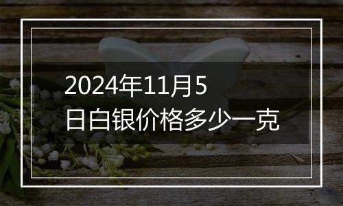 2024年11月5日白银价格多少一克