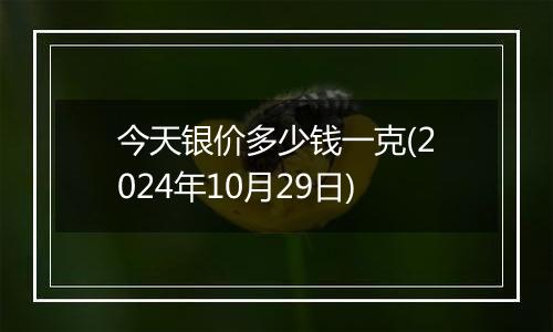 今天银价多少钱一克(2024年10月29日)