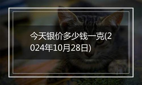 今天银价多少钱一克(2024年10月28日)