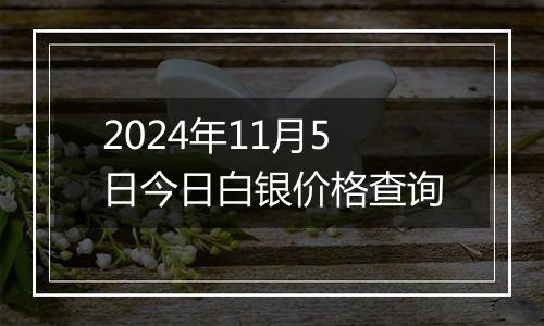 2024年11月5日今日白银价格查询