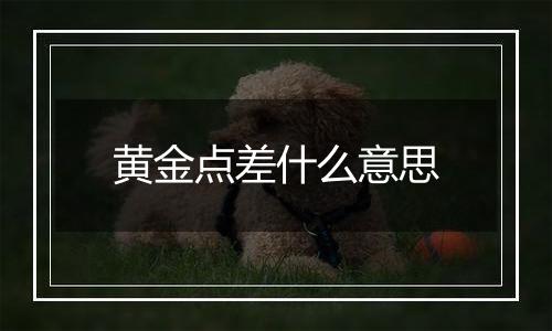 黄金点差什么意思