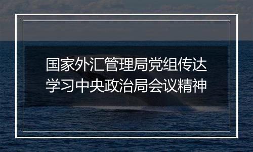 国家外汇管理局党组传达学习中央政治局会议精神