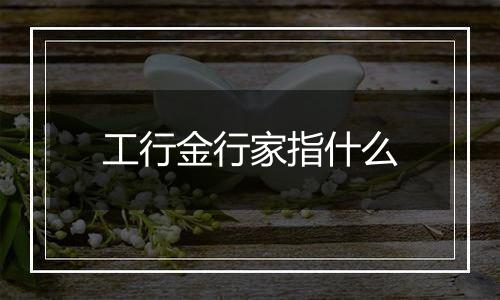 工行金行家指什么