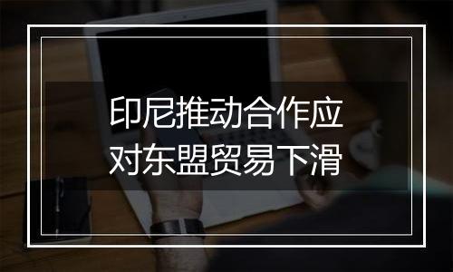 印尼推动合作应对东盟贸易下滑