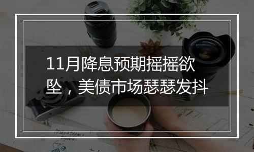 11月降息预期摇摇欲坠，美债市场瑟瑟发抖