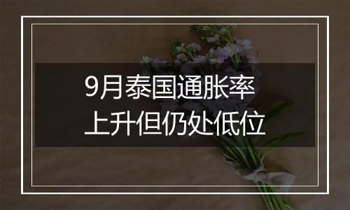 9月泰国通胀率上升但仍处低位