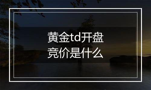 黄金td开盘竞价是什么