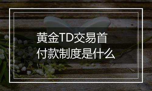 黄金TD交易首付款制度是什么