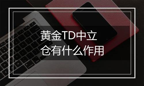 黄金TD中立仓有什么作用