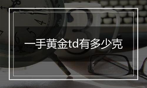 一手黄金td有多少克