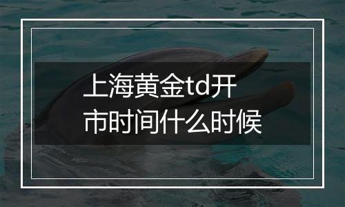 上海黄金td开市时间什么时候