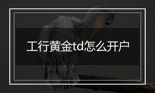 工行黄金td怎么开户