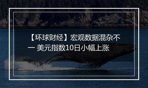 【环球财经】宏观数据混杂不一 美元指数10日小幅上涨