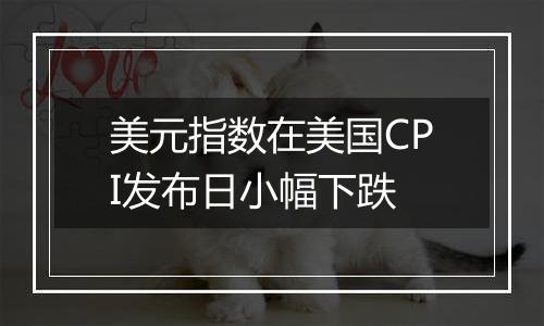 美元指数在美国CPI发布日小幅下跌