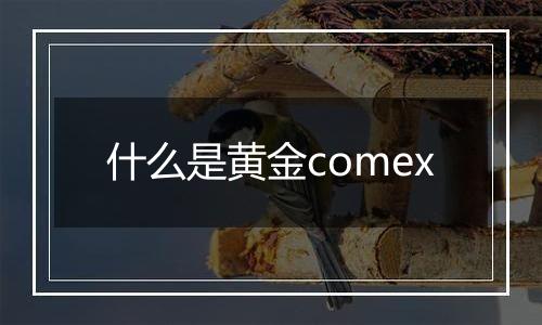 什么是黄金comex