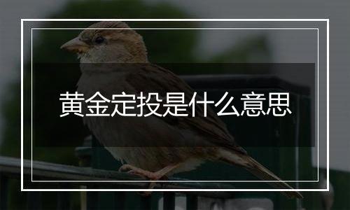 黄金定投是什么意思