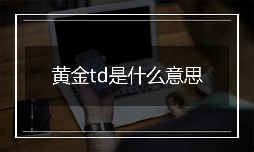 黄金td是什么意思